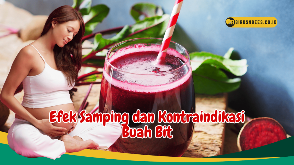 Efek Samping dan Kontraindikasi Buah Bit Efek Samping dan Kontraindikasi Buah Bit