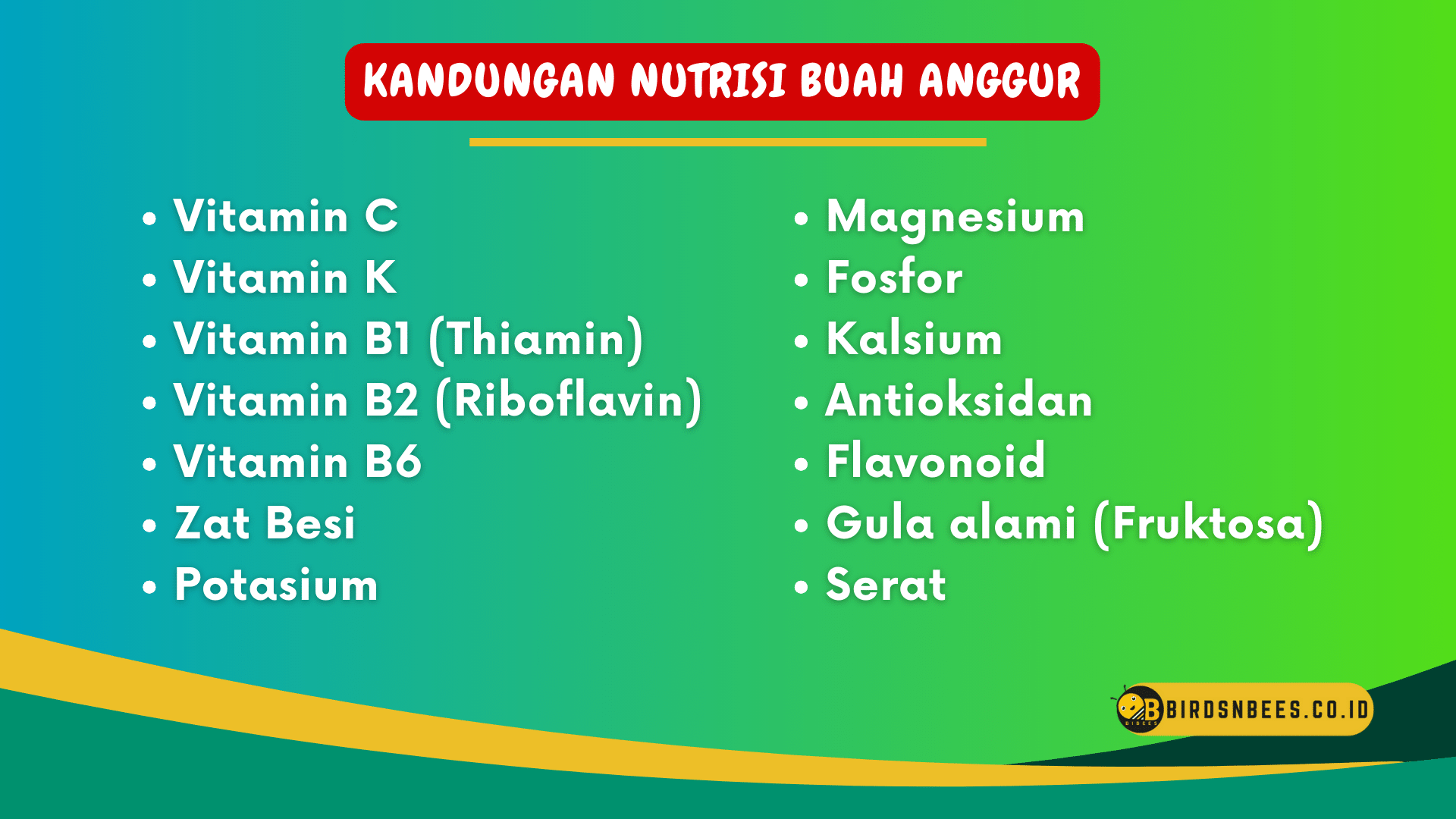 Mengungkap Khasiat Tersembunyi: Kandungan Vitamin K dalam Buah Anggur Mengungkap Khasiat Tersembunyi: Kandungan Vitamin K dalam Buah Anggur