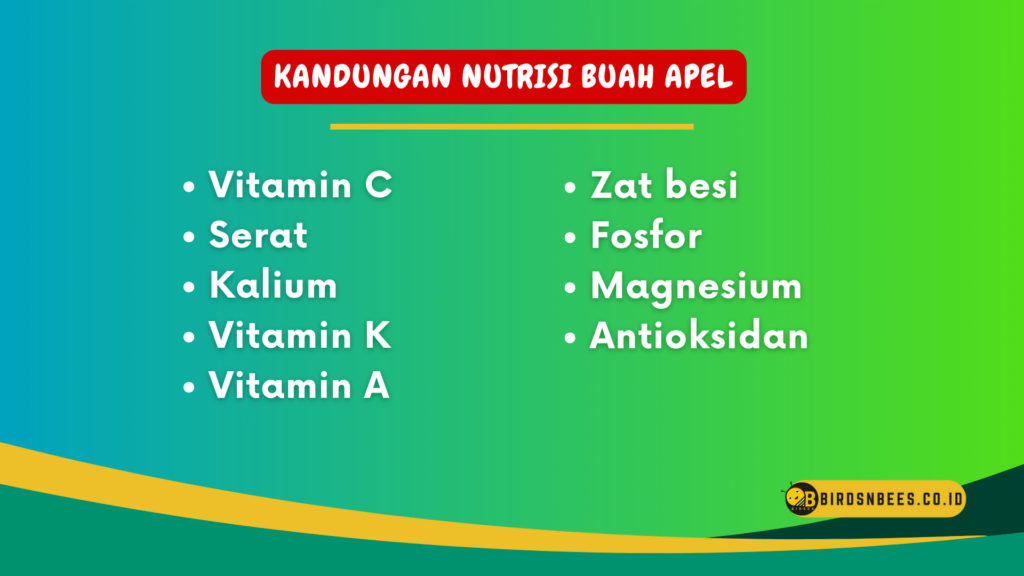 Kandungan Nutrisi Buah Apel Kandungan Nutrisi Buah Apel