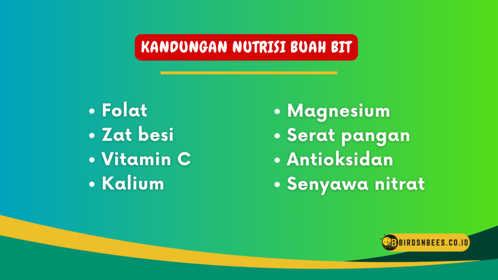 Kandungan Nutrisi Buah Bit Kandungan Nutrisi Buah Bit