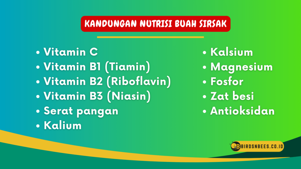 Kandungan Nutrisi Buah Sirsak Kandungan Nutrisi Buah Sirsak