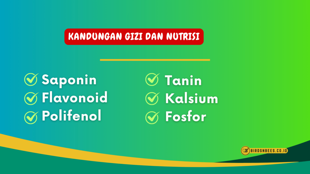 Kandungan gizi dan nutrisi Kandungan gizi dan nutrisi