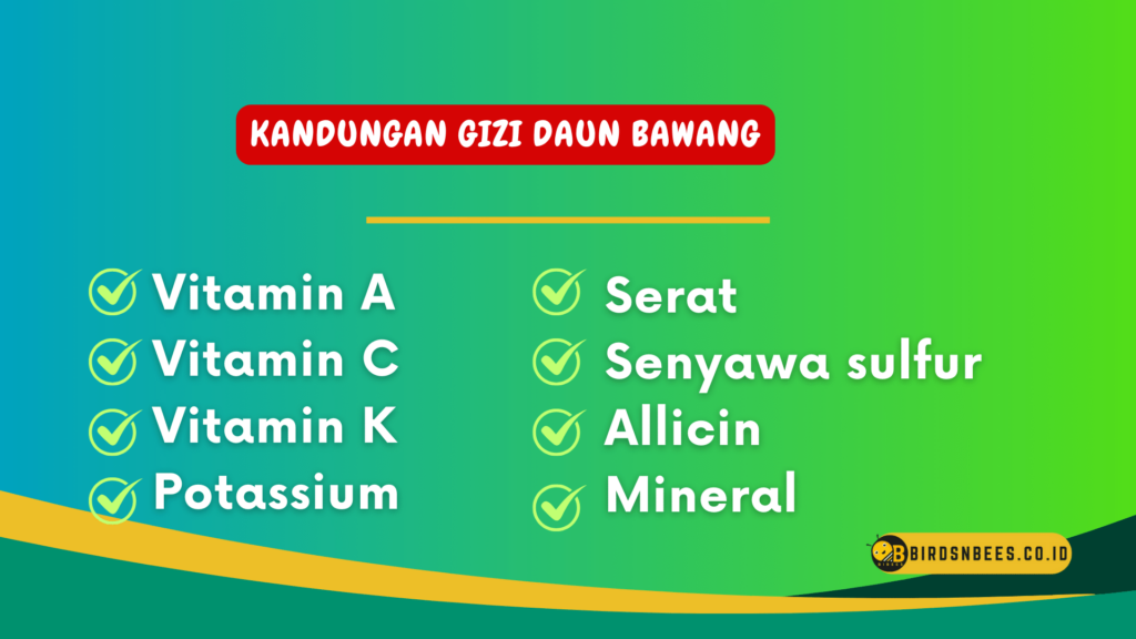 Kandungan gizi daun bawang Kandungan gizi daun bawang