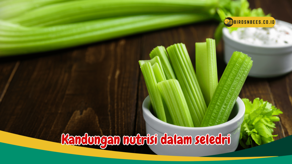 Kandungan nutrisi dalam seledri Kandungan nutrisi dalam seledri