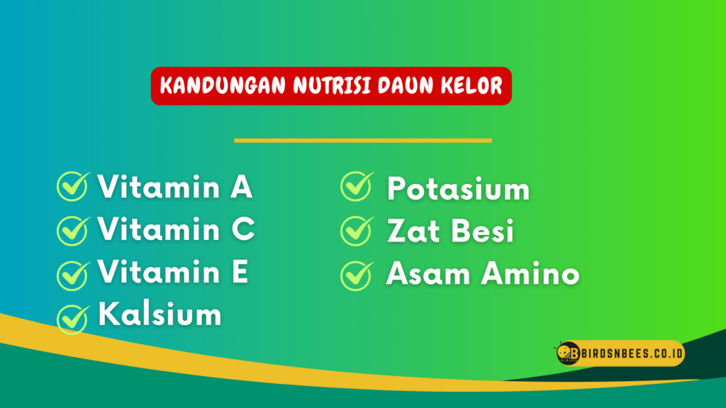 Kandungan nutrisi daun kelor Kandungan nutrisi daun kelor