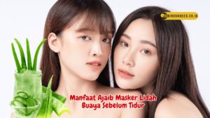 Manfaat Ajaib Masker Lidah Buaya Sebelum Tidur