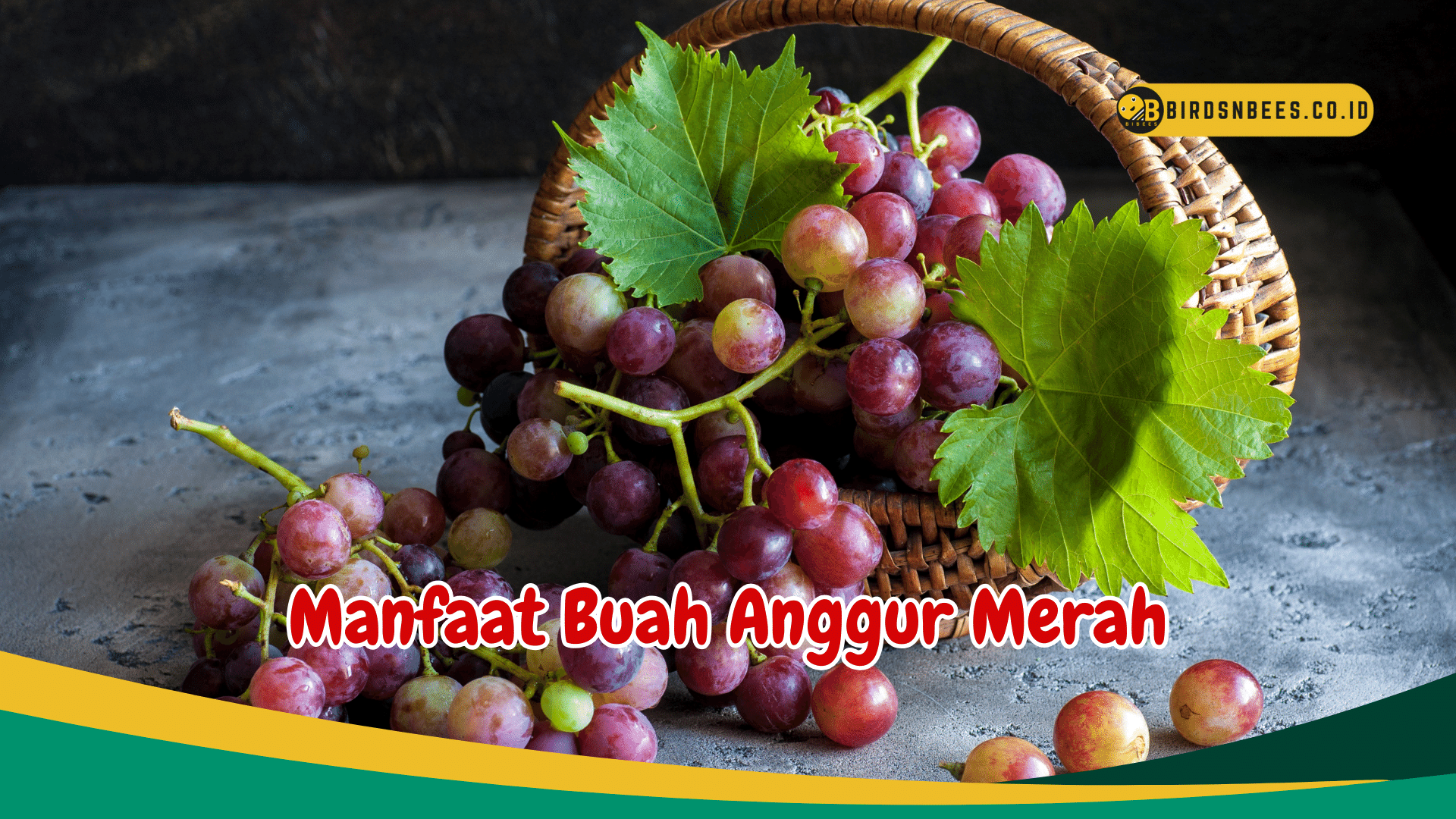 Manfaat Buah Anggur Merah: Elixir Kesehatan yang Kaya Antioksidan