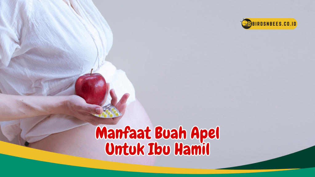 Manfaat Buah Apel Untuk Ibu Hamil Manfaat Buah Apel Untuk Ibu Hamil