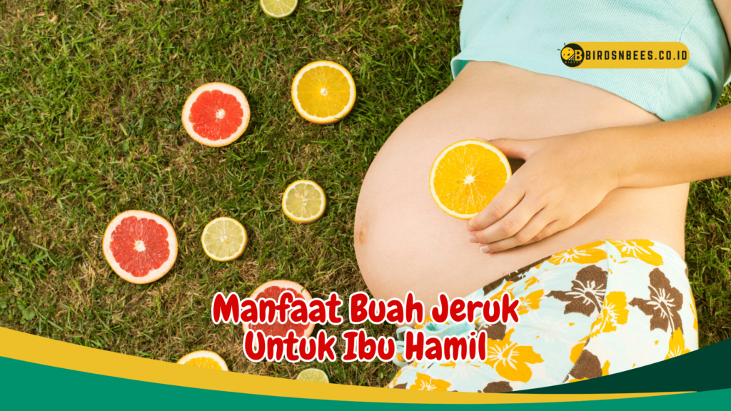 Manfaat Buah Jeruk Untuk Ibu Hamil Manfaat Buah Jeruk Untuk Ibu Hamil