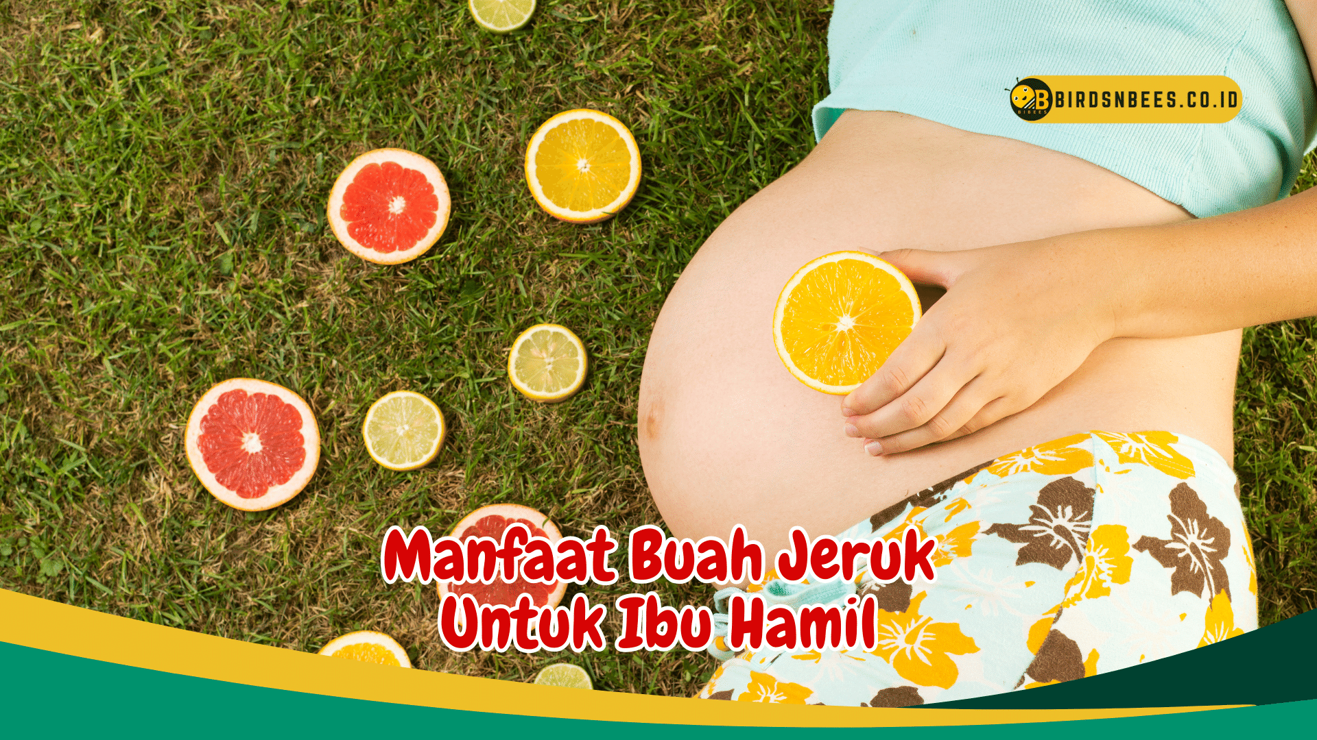 Manfaat Buah Jeruk Untuk Ibu Hamil Manfaat Buah Jeruk Untuk Ibu Hamil