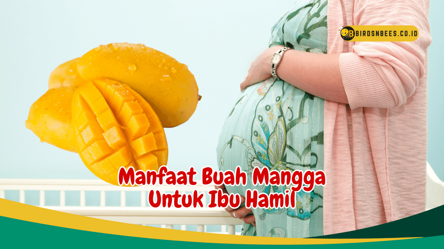 Manfaat Buah Mangga Untuk Ibu Hamil birds n bees