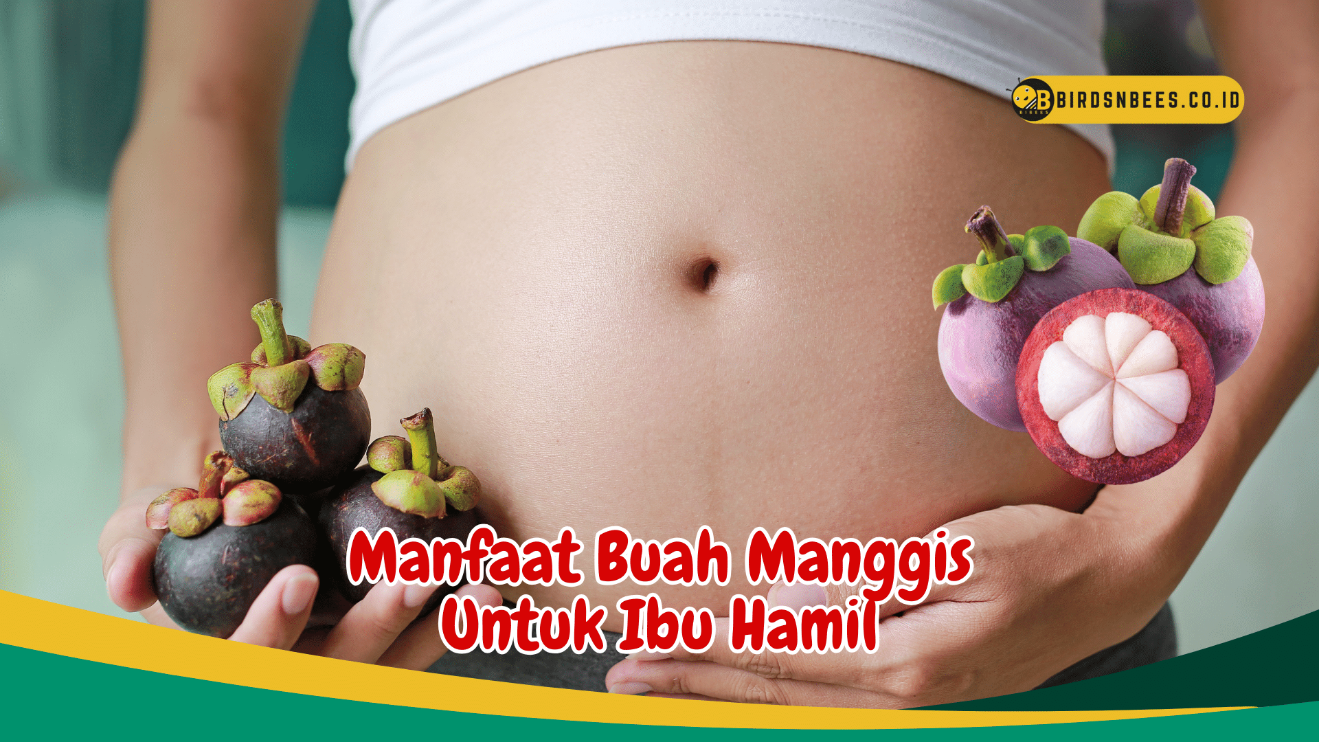 Manfaat Buah Manggis Untuk Ibu Hamil Manfaat Buah Manggis Untuk Ibu Hamil