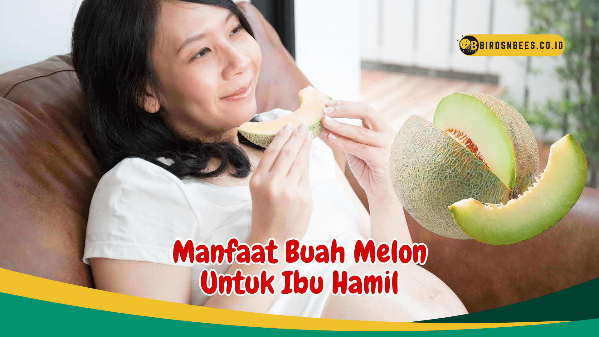 Manfaat Buah Melon Untuk kesehatan Ibu Hamil Manfaat Buah Melon Untuk kesehatan Ibu Hamil