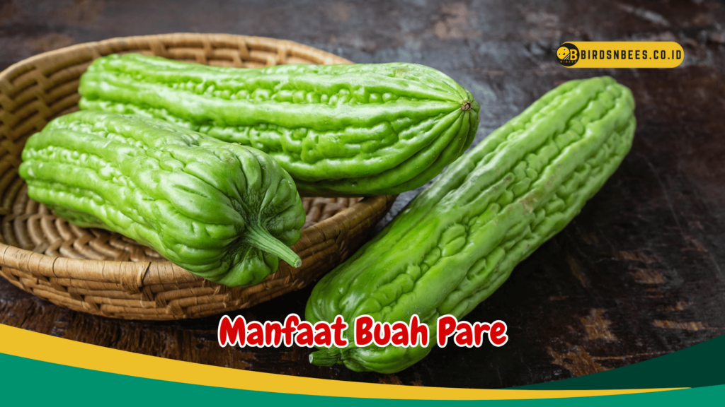 Manfaat Buah Pare Manfaat Buah Pare