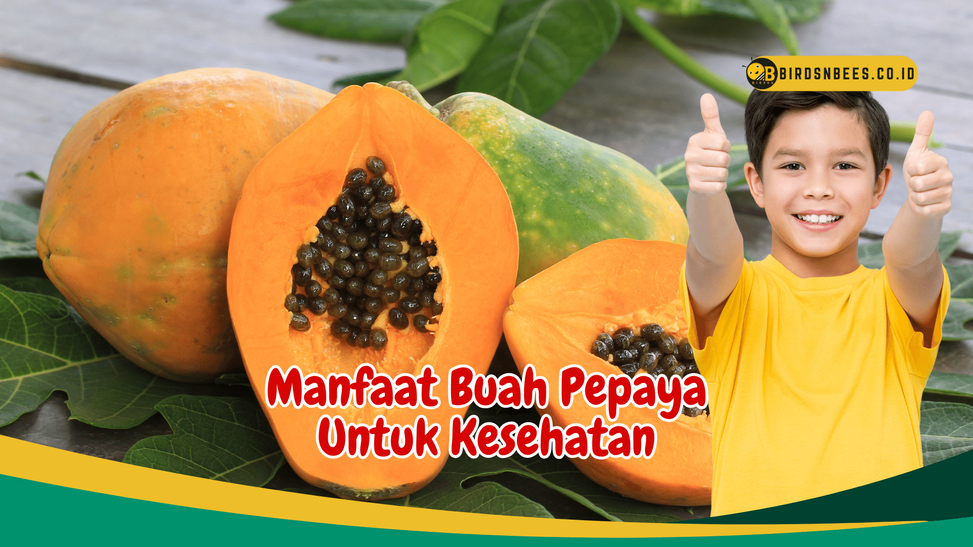 Inilah 6 Manfaat Buah Pepaya Yang Harus Kamu Ketahui Inilah 6 Manfaat Buah Pepaya Yang Harus Kamu Ketahui