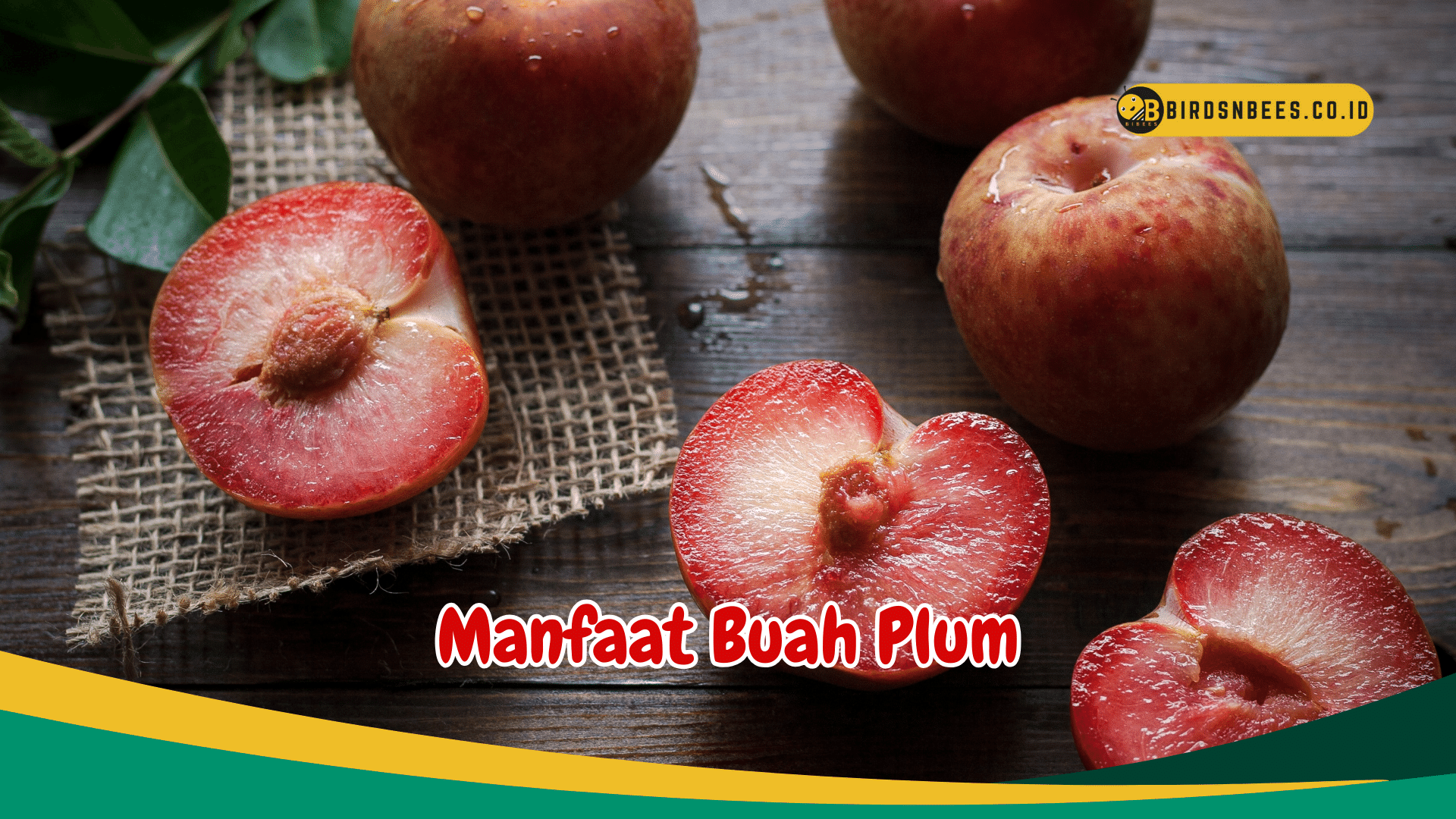 Kaya akan Antioksidan, Ketahui Manfaat Buah Plum untuk kesehatan Kaya akan Antioksidan, Ketahui Manfaat Buah Plum untuk kesehatan