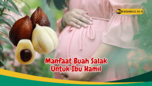 Buah Salak