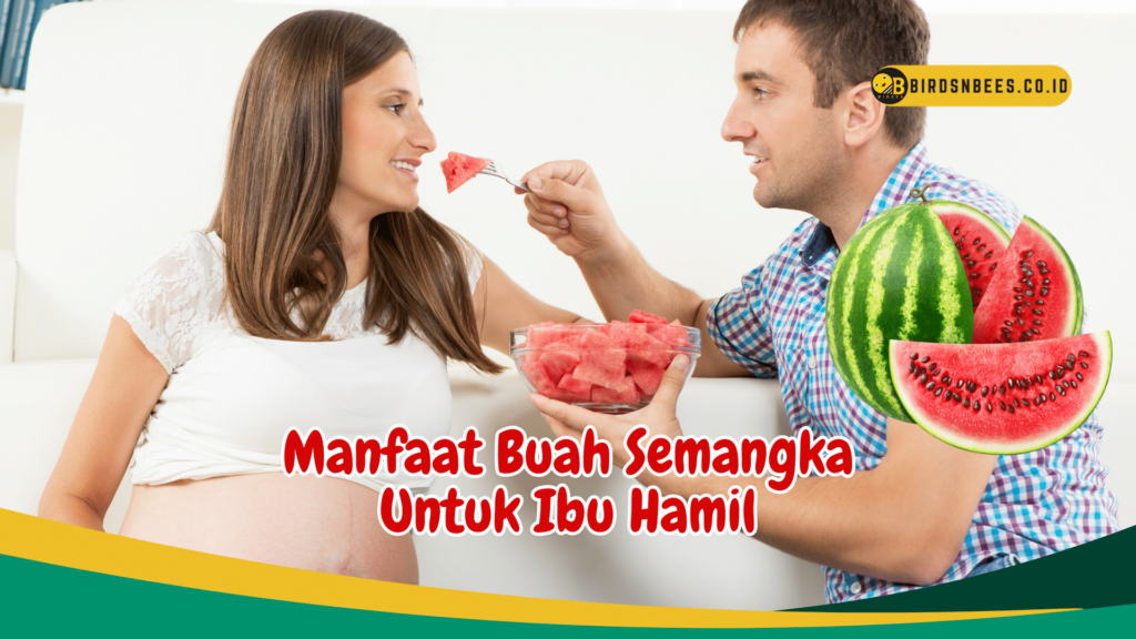 Manfaat Buah Semangka Untuk Ibu Hamil Manfaat Buah Semangka Untuk Ibu Hamil