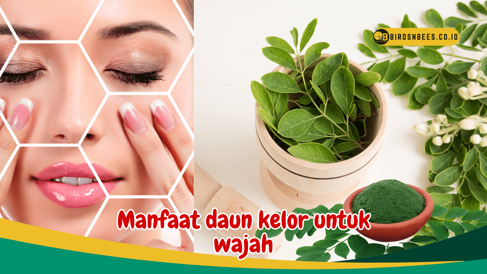Jerawat membandel? Ketahui 6 Manfaat daun kelor untuk wajah, salah satunya untuk Mengurangi jerawat