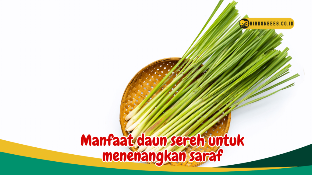 Manfaat daun sereh untuk menenangkan saraf Manfaat daun sereh untuk menenangkan saraf