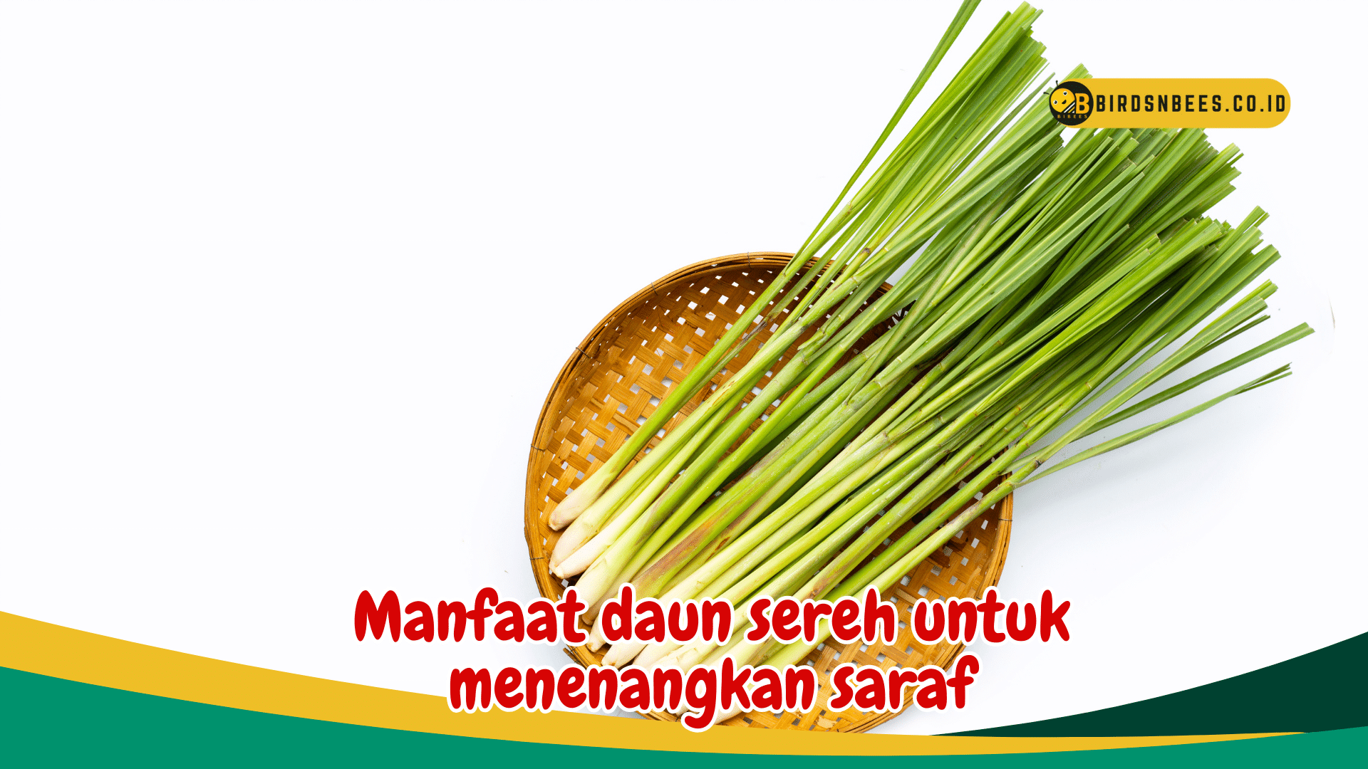 Ketahui 6 Manfaat Utama daun sereh untuk kesehatan, salah satunya menenangkan saraf tubuh kita Ketahui 6 Manfaat Utama daun sereh untuk kesehatan, salah satunya menenangkan saraf tubuh kita