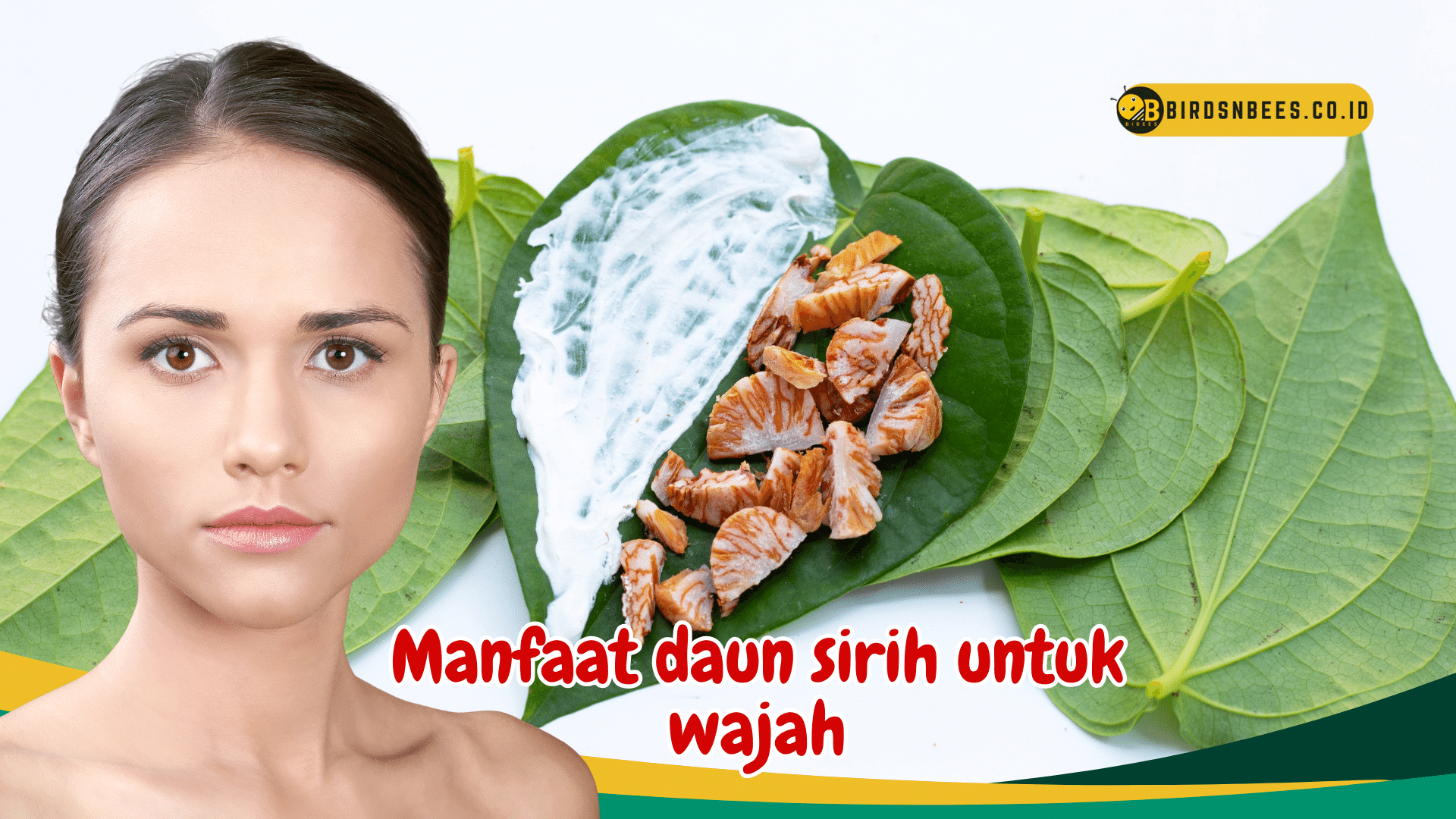 Ketahui 4 Manfaat daun sirih untuk wajah, bikin wajah makin halus dan lembut, benarkah? Ketahui 4 Manfaat daun sirih untuk wajah, bikin wajah makin halus dan lembut, benarkah?