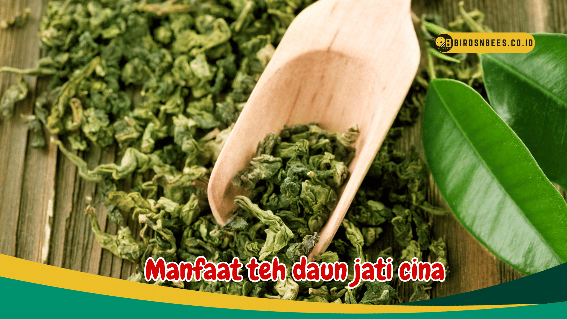Manfaat teh daun jati cina meningkatkan kinerja ginjal Manfaat teh daun jati cina meningkatkan kinerja ginjal