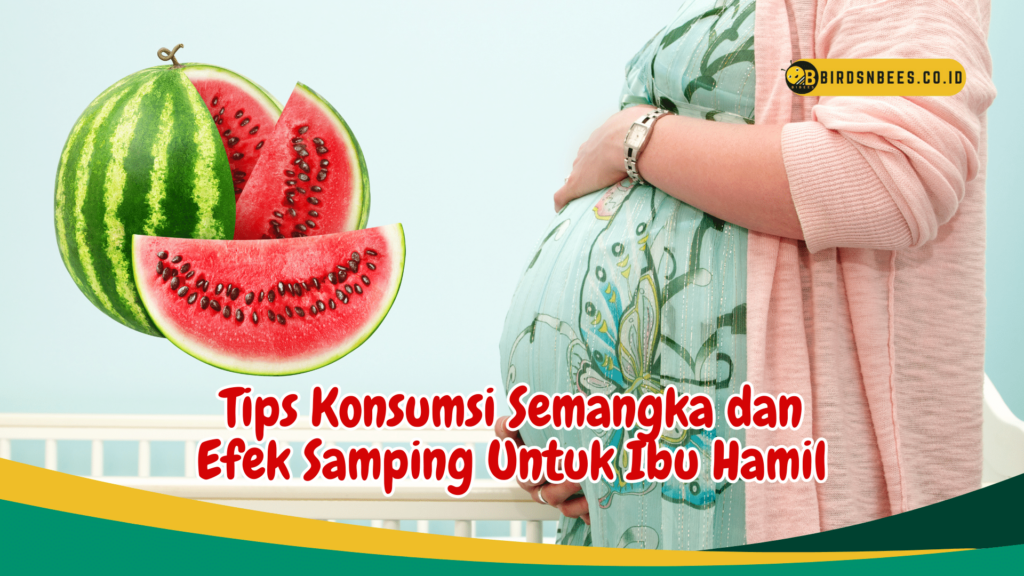 Tips Konsumsi Semangka dan Efek Samping Untuk Ibu Hamil Tips Konsumsi Semangka dan Efek Samping Untuk Ibu Hamil