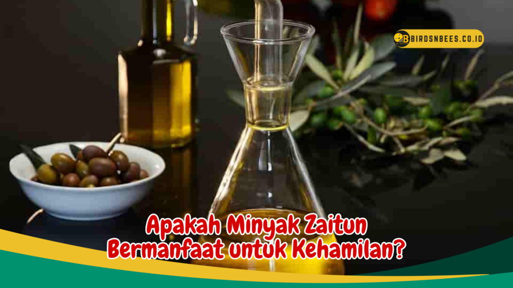 Apakah Minyak Zaitun Bermanfaat untuk Kehamilan Apakah Minyak Zaitun Bermanfaat untuk Kehamilan