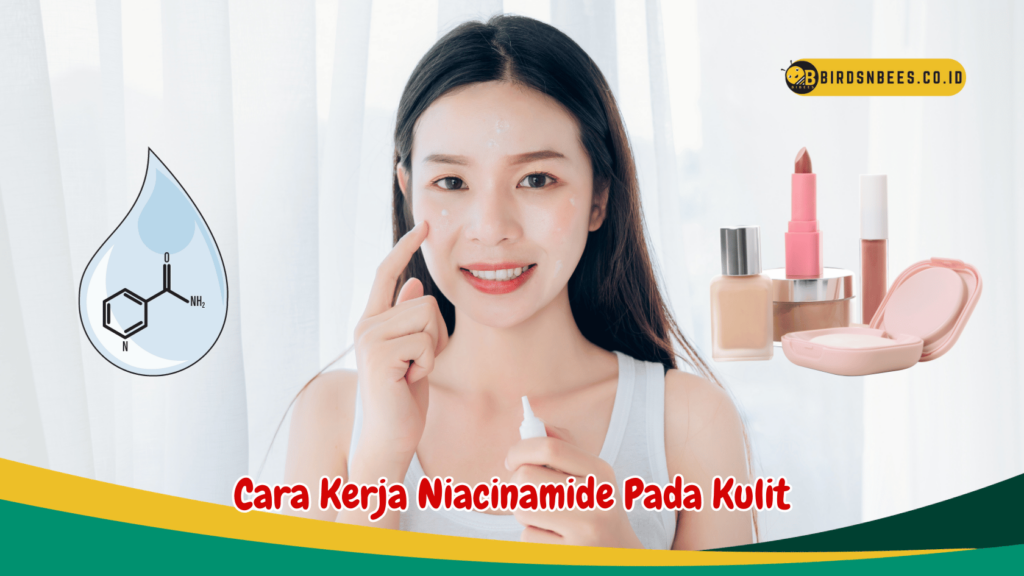 Cara Kerja Niacinamide Pada Kulit