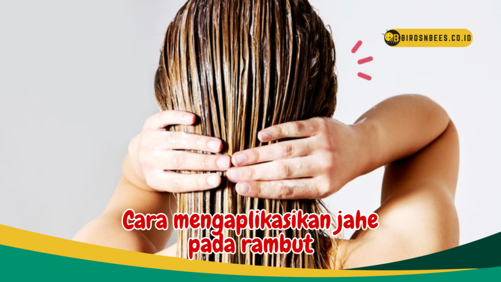 Cara mengaplikasikan jahe pada rambut Cara mengaplikasikan jahe pada rambut