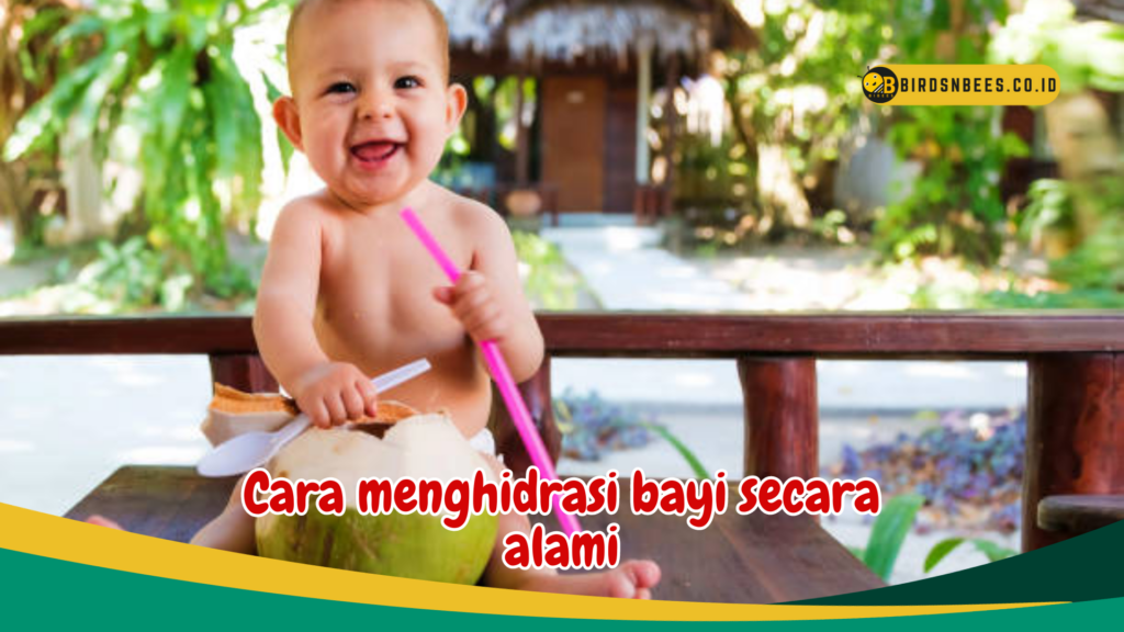 Cara menghidrasi bayi secara alami Cara menghidrasi bayi secara alami