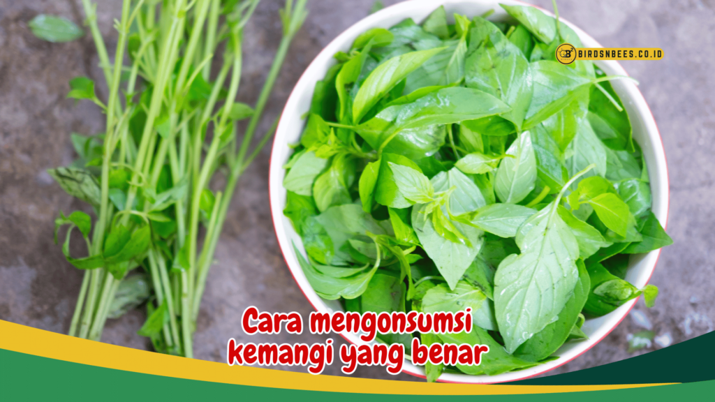 Cara mengonsumsi kemangi yang benar Cara mengonsumsi kemangi yang benar