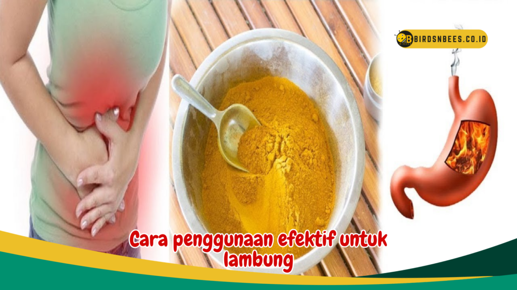 Cara penggunaan efektif untuk lambung Cara penggunaan efektif untuk lambung