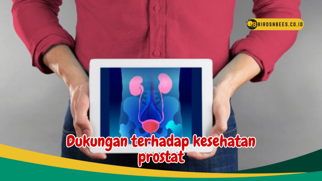 Dukungan terhadap kesehatan prostat Dukungan terhadap kesehatan prostat