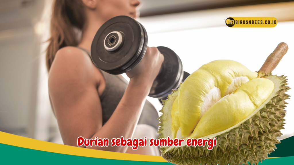 Durian sebagai sumber energi