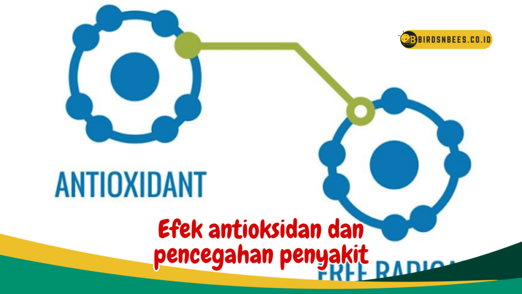 Efek antioksidan dan pencegahan penyakit Efek antioksidan dan pencegahan penyakit