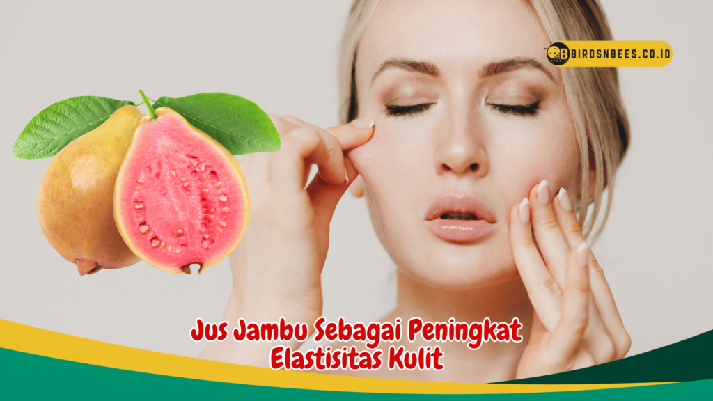 Jus Jambu Sebagai Peningkat Elastisitas Kulit Jus Jambu Sebagai Peningkat Elastisitas Kulit