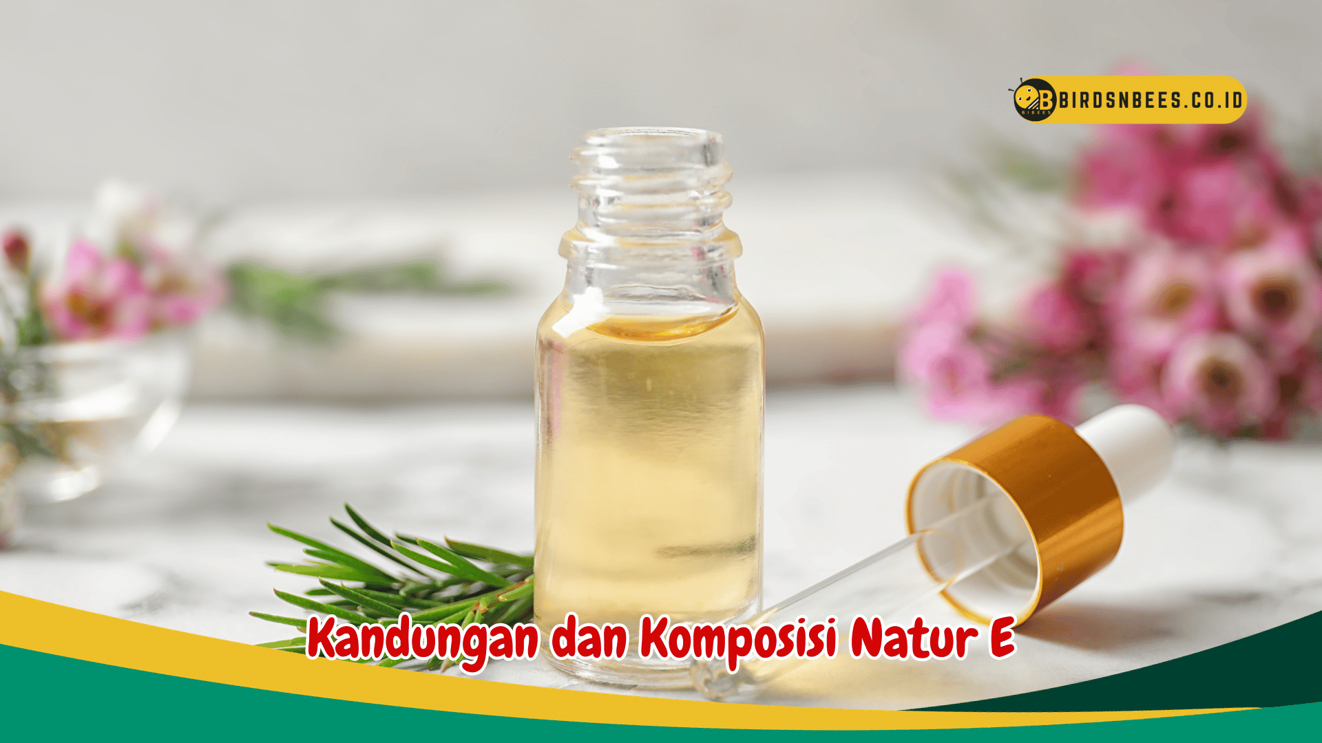Manfaat minum natur E sebelum tidur untuk kesehatan dan regenerasi sel kulit Manfaat minum natur E sebelum tidur untuk kesehatan dan regenerasi sel kulit