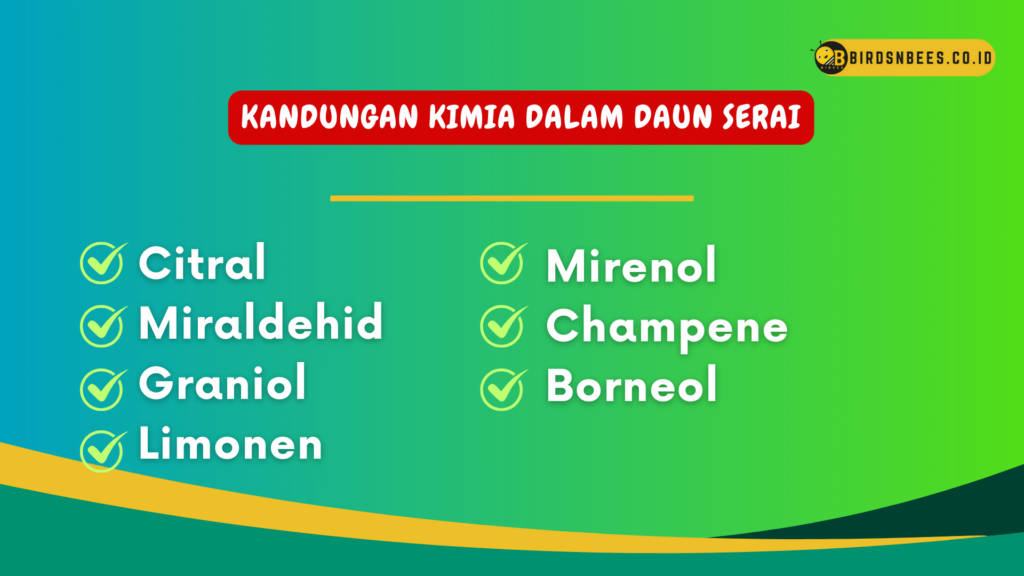 Kandungan kimia dalam daun serai Kandungan kimia dalam daun serai