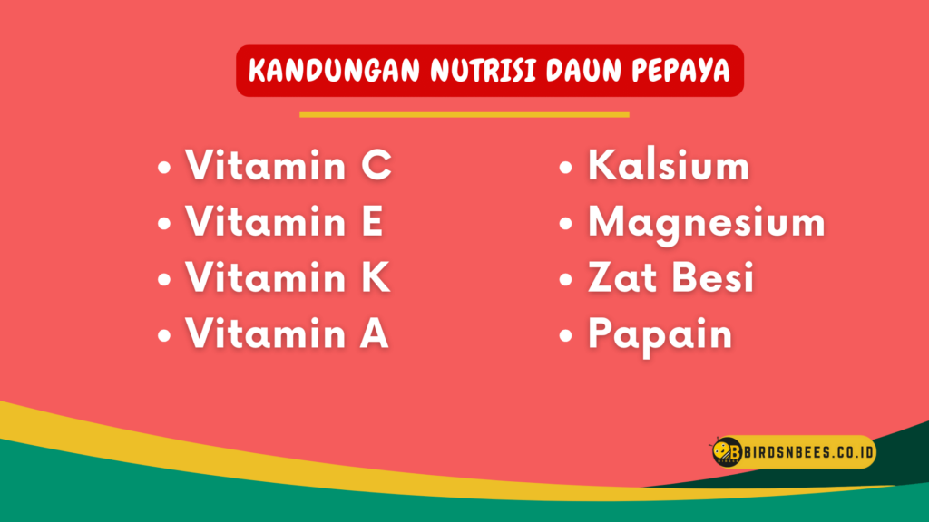 Kandungan nutrisi daun pepaya