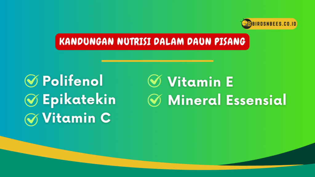 Kandungan nutrisi dalam daun pisang Kandungan nutrisi dalam daun pisang
