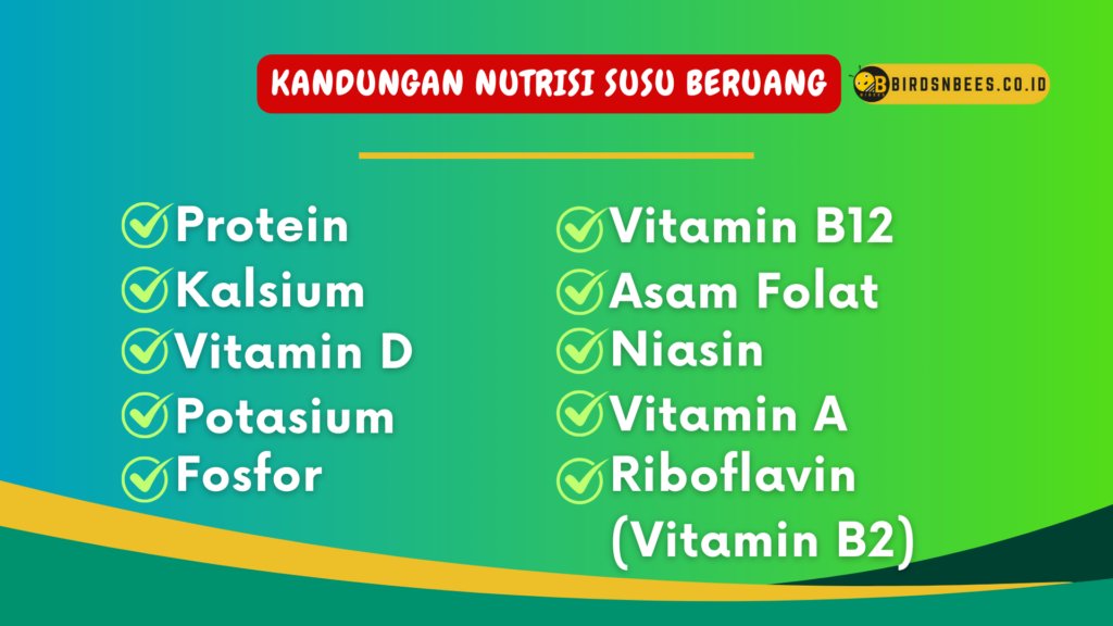 Kandungan nutrisi susu beruang Kandungan nutrisi susu beruang