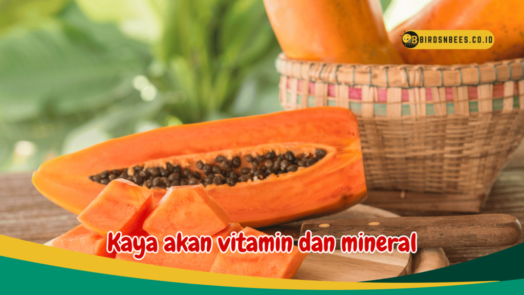 Kaya akan vitamin dan mineral