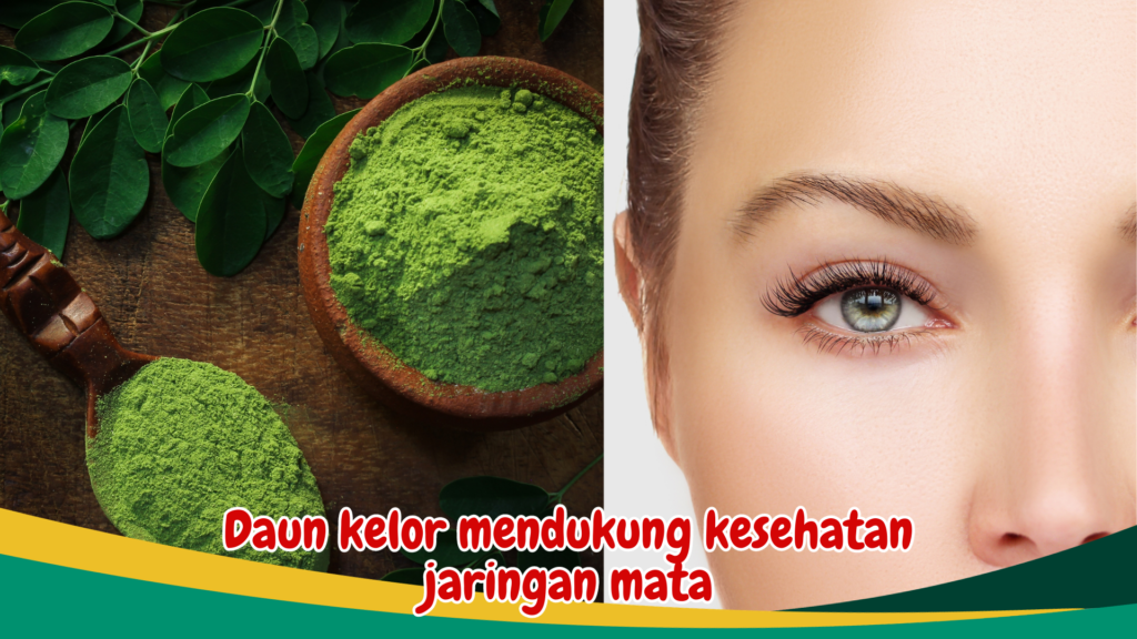 Daun kelor mendukung kesehatan jaringan mata