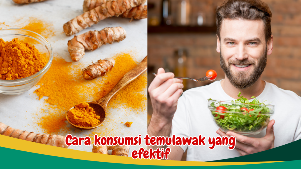 Cara konsumsi temulawak yang efektif Cara konsumsi temulawak yang efektif