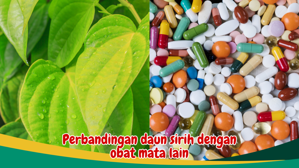 Perbandingan daun sirih dengan obat mata lain Perbandingan daun sirih dengan obat mata lain