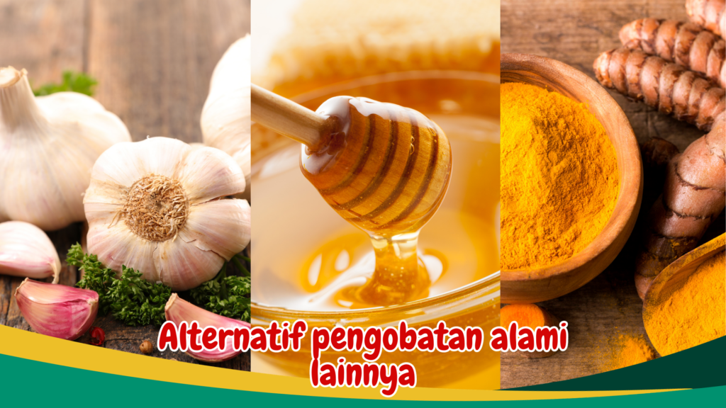 Alternatif pengobatan alami lainnya Alternatif pengobatan alami lainnya