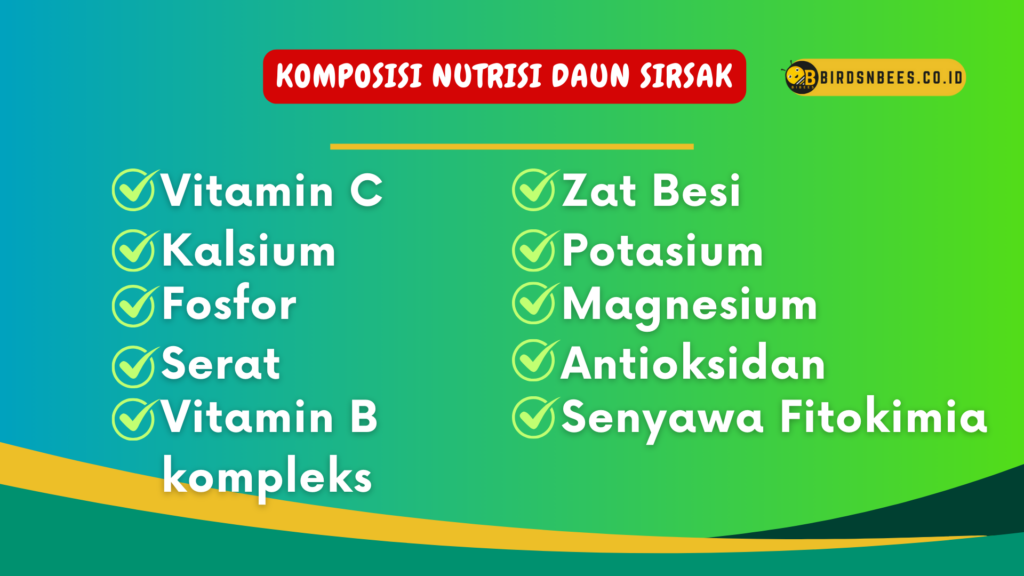 Komposisi nutrisi daun sirsak Komposisi nutrisi daun sirsak