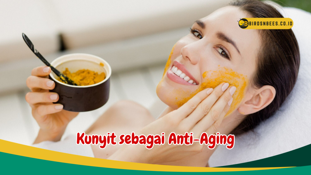 Kunyit sebagai Anti-Aging Kunyit sebagai Anti-Aging
